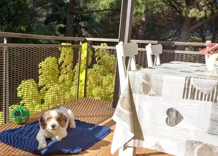 Sa Boadella Beach, - Costa Brava 公寓